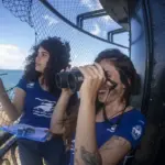 Temporada de observação de baleias jubarte começa nesta quarta (15) em Salvador