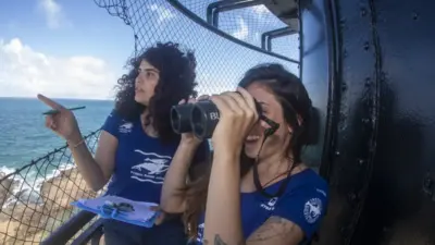 Temporada de observação de baleias jubarte começa nesta quarta (15) em Salvador