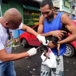 Vacinação antirrábica 2026 em Salvador começa segunda com 90 pontos de vacinação