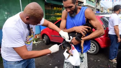 Vacinação antirrábica 2026 em Salvador começa segunda com 90 pontos de vacinação