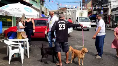 Dia D da vacinação antirrábica ocorre neste fim de semana em Salvador; veja locais