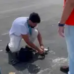 Drones ampliam mapeamento de áreas de risco e orientam planos de ação da Codesal em Salvador
