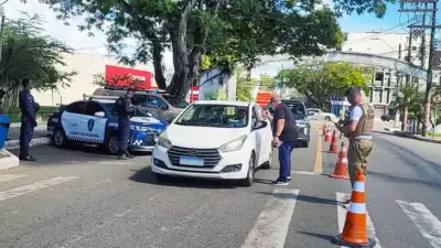 Lauro de Freitas intensifica fiscalização contra venda de animais em vias públicas