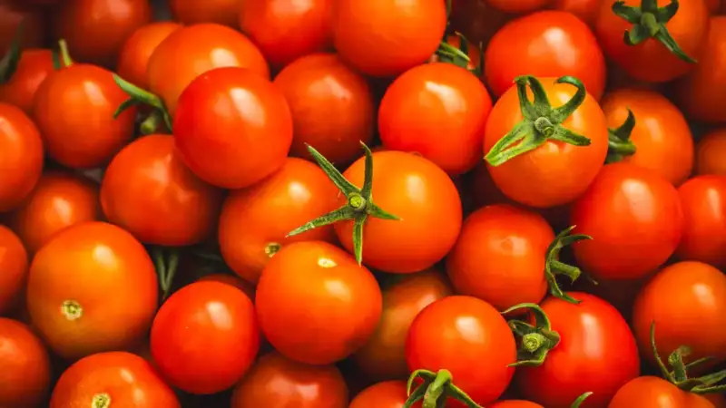 Foto:  Dmitry Kharitonov/Pexels