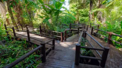Parque ecologico