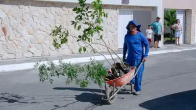 trabalhador carregando mudas