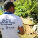 Salvador reforça combate ao Aedes aegypti e alerta para focos dentro de casa