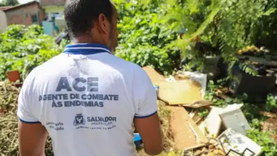 Salvador reforça combate ao Aedes aegypti e alerta para focos dentro de casa