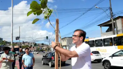 Avenida Suburbana recebe 21 mudas de ipês após vandalismo em canteiro central