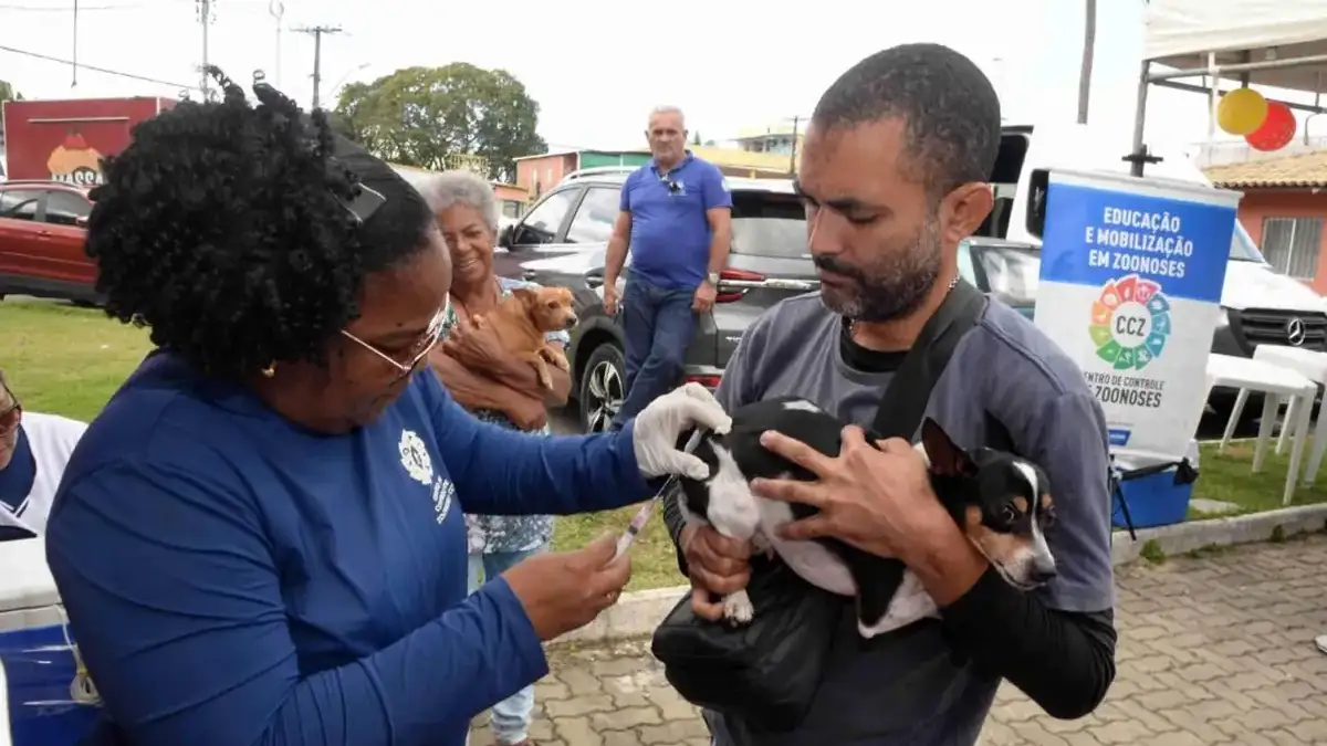cachorrinho sendo vacinado