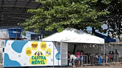 Castramóvel leva castração gratuita de cães e gatos à Avenida Paralela a partir de terça