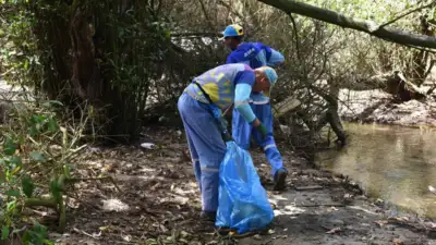 Limpeza no Manguezal do Passa Vaca abre ações de recuperação em Patamares