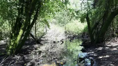 Parque do Manguezal do Passa Vaca avança com limpeza, cercamento e centro de referência