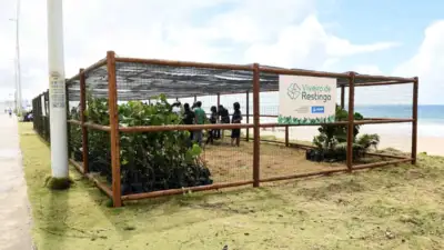 Segundo viveiro de restinga de Salvador recebe 515 mudas no Jardim de Alah