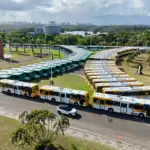 Salvador coloca 136 ônibus climatizados em circulação já neste domingo e renova 35% da frota até dezembro