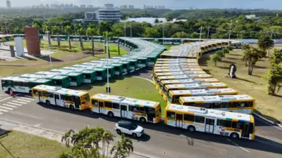 frota de ônibus novos em Salvador