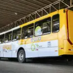 Transporte de Salvador será gratuito das 6h às 20h no domingo da eleição