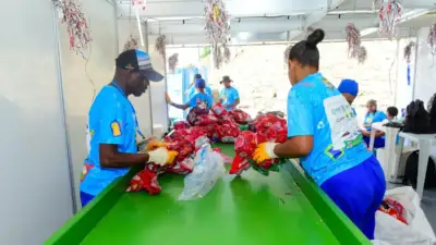 central de reciclagem em Salvador